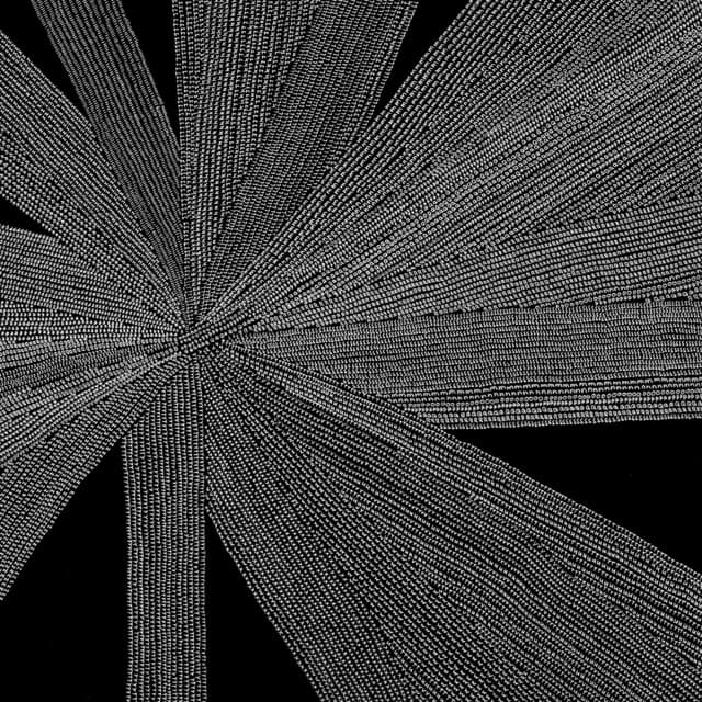 Amina Claudine Myers