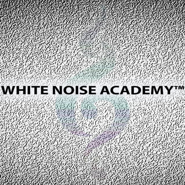White Noise Academy