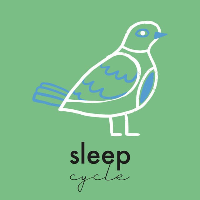 Ciclo De Dormir