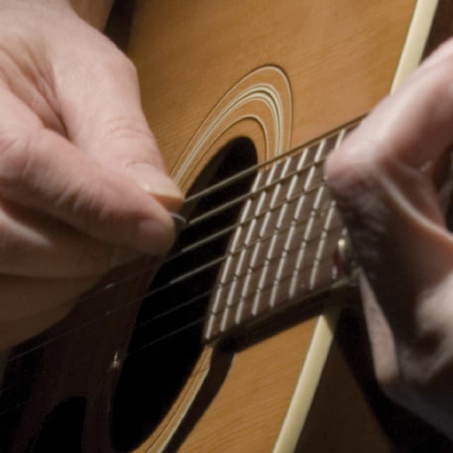 Guitar Tribute Players