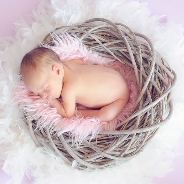 Para Dormir o Bebe by Beneluxa
