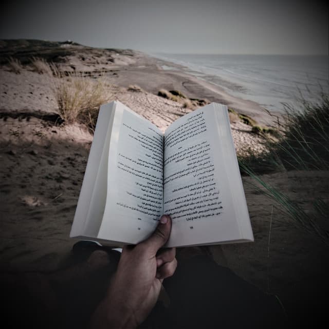 Sons de Chuva para Estudar