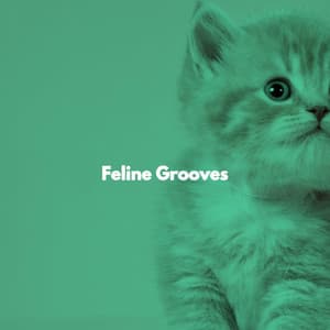 Feline Grooves - Jazz for Work Classics