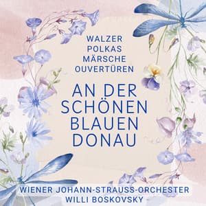 An der schönen blauen Donau - Walzer, Polkas, Märsche, Ouvertüren - Wiener Johann Strauss Orchester