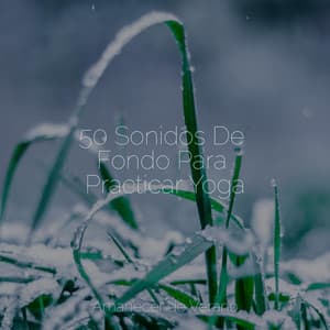 50 Sonidos De Fondo Para Practicar Yoga - Chakra Balancing Sound Therapy