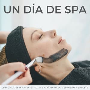 Un Día De Spa: Llovizna Ligera Y Vientos Suaves Para Un Masaje Corporal Completo - Palacio de la lluvia