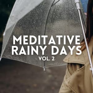 Meditative Rainy Days Vol. 2 - Spa Collective
