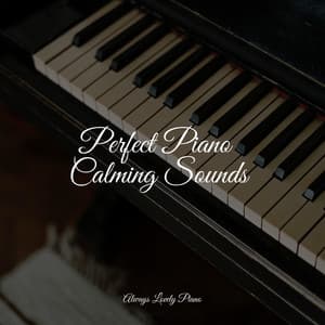 Chillout Beats | Relaxation - Easy Listening Piano