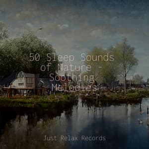 50 Sleep Sounds of Nature - Soothing Melodies - Rest & Relax Nature Sounds Artists