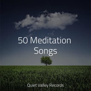 50 Meditation Songs - Loopable Sounds for Babies