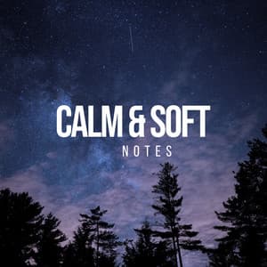Calm & Soft Notes - White Noise Ambience