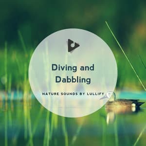 Diving and Dabbling - Nature Sounds by Lullify