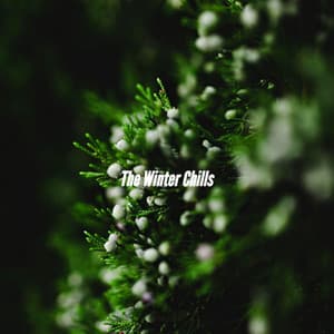 The Winter Chills - Latin Jazz Instrumental