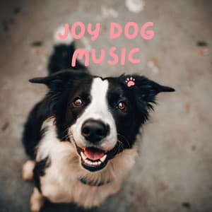 Joy Dog Music - Pet Music Therapy