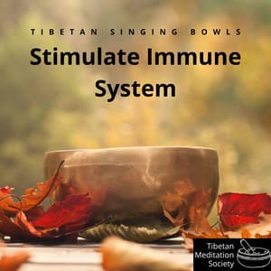 Tibetan Singing Bowls - Stimulate Immune System - Tibetan Meditation Society