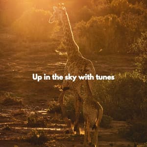Up in the sky with tunes - Jazz Rilassante Collezioni