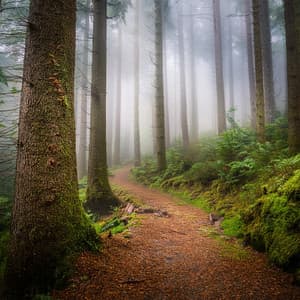 Ethereal Guitar Music For Quiet Moments Of Reflection - Fashionable Guitar Music