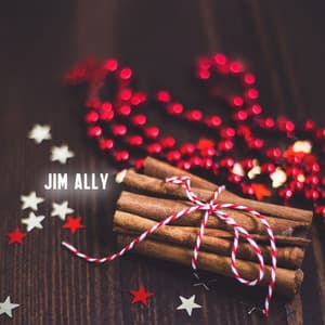 A Touch of Cinnamon - Jim Ally