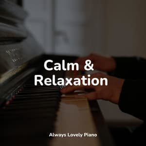 50 Comforting Tracks - Chilled Jazz Masters