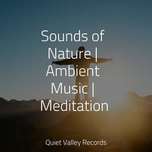 Sounds of Nature | Ambient Music | Meditation - Relaxing Nature Music