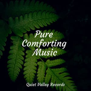 Pure Comforting Music - Tailormade Ocean Waves