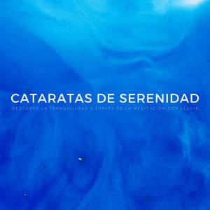 Cataratas De Serenidad: Descubre La Tranquilidad A Través De La Meditación Con Lluvia - Sonidos de lluvia y sonidos de la naturaleza