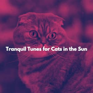 Tranquil Tunes for Cats in the Sun - Soft Jazz Studio
