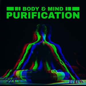 Body & Mind Purification: Healing Music for Meditation, Relaxing Massage, Yoga, Spirituality Development - Sweet Music Relaxation