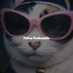 Feline Funkadelic - Living Room Jazz Quintet