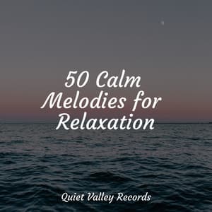 50 Calm Melodies for Relaxation - Rain Sounds & Nature Sounds