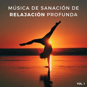Música De Sanación De Relajación Profunda, Vol. 1 - Monjes Tibetanos