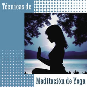 Técnicas de Meditación de Yoga: Sonidos Instrumentales y Naturales de la Nueva Era para Sesión Mindfulness Relajante - Yoga Oasis