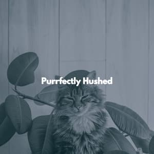 Purrfectly Hushed - Cat Music Relaxation