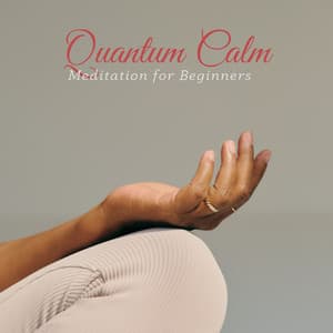 Quantum Calm: Focus Meditation - Meditation for Beginners