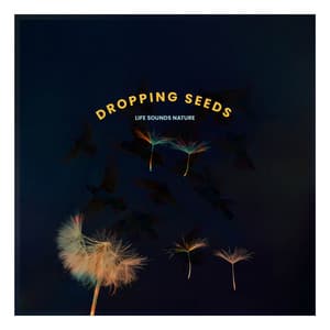 Dropping Seeds - Life Sounds Nature