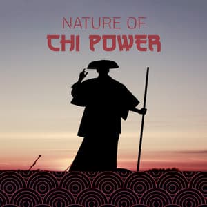 Nature of Chi Power - Jeong Jin Ting