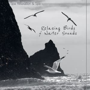 Relaxing Birds & Water Sounds - Spa Relaxation & Spa