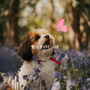 安らぎのしっぽ - French Cafe Jazz Chill