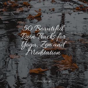 50 Beautiful Rain Tracks for Yoga, Zen and Meditation - White Noise For Baby Sleep