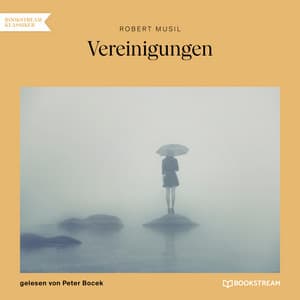 Vereinigungen - Peter Bocek