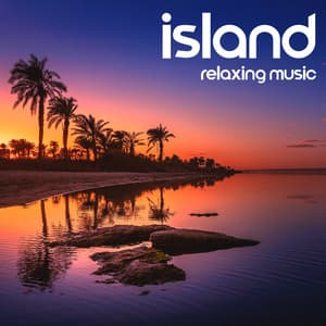 Island Relaxing Music - Steve The King Of Drums