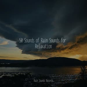 50 Sounds of Rain Sounds for Relaxation - Calming Waves