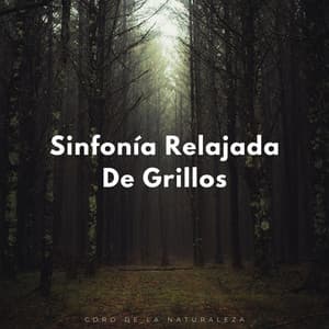 Sinfonía Relajada De Grillos: Coro De La Naturaleza - Canciones de la naturaleza Música de la naturaleza