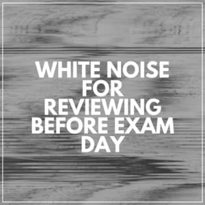 White Noise for Reviewing Before Exam Day - White Noise for Absolute Sleep