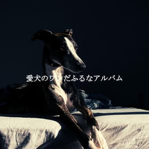 愛犬のワンだふるなアルバム - Atmospheric Coffee House Music
