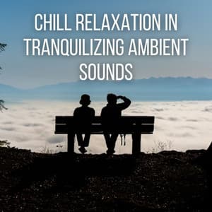 Chill Relaxation in Tranquilizing Ambient Sounds - Total Relax