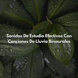 Sonidos De Estudio Efectivos Con Canciones De Lluvia Binaurales - Ritmos binaurales Estudiar música