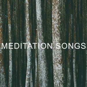 Music for stress relief - Meditation Songs
