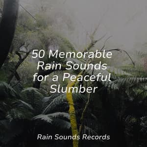 50 Memorable Rain Sounds for a Peaceful Slumber - Nature Sounds Nature Music