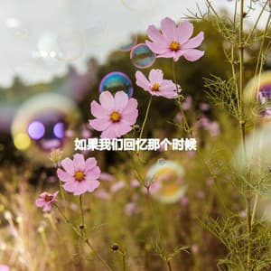 如果我们回忆那个时候 - Work from Home Groove